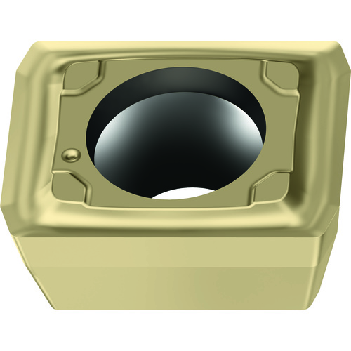 LCMX050203-D57 WSP45G