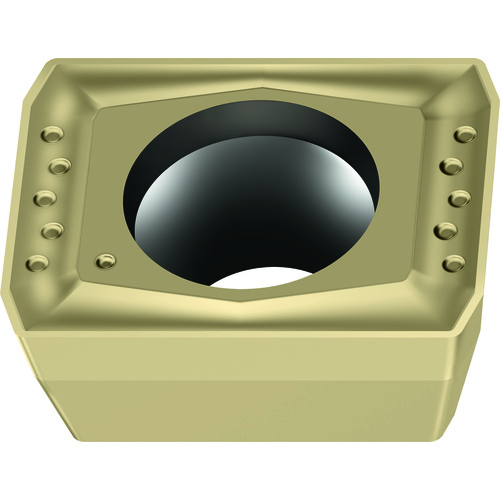 LCMX06T204-E57 WSP45G