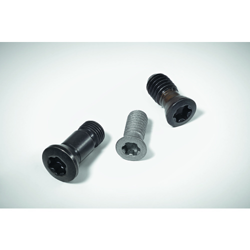 FS1454-SET Screw with Head