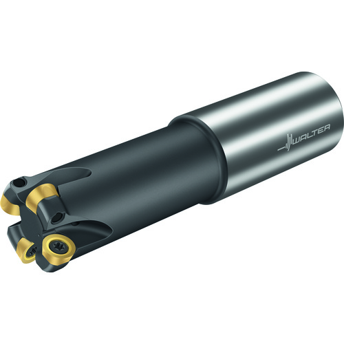F2334R.UZ31.031.Z04.05 Copy Milling Cutter with round inserts