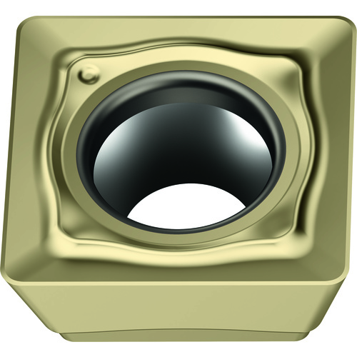SDMT06T204-F57 WSM35G