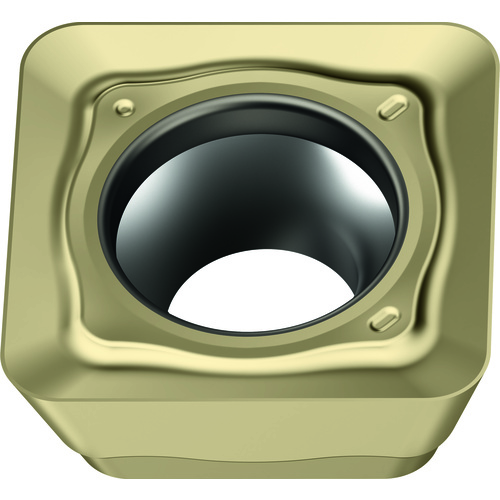 SDMT09T312-F57 WSP45G