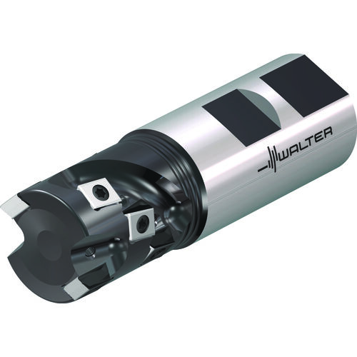 F5038.W25.025.Z02.32 FACE MILL